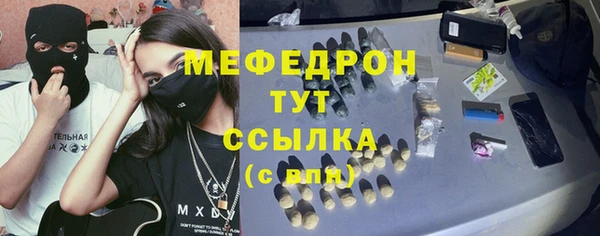 шишки Инсар