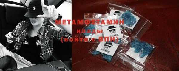 прущие грибы Зеленодольск