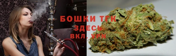 прущие грибы Зеленодольск