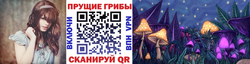Псилоцибиновые грибы мухоморы Купить закладки Воронеж